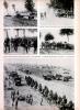 Germans in Poland, Page 1